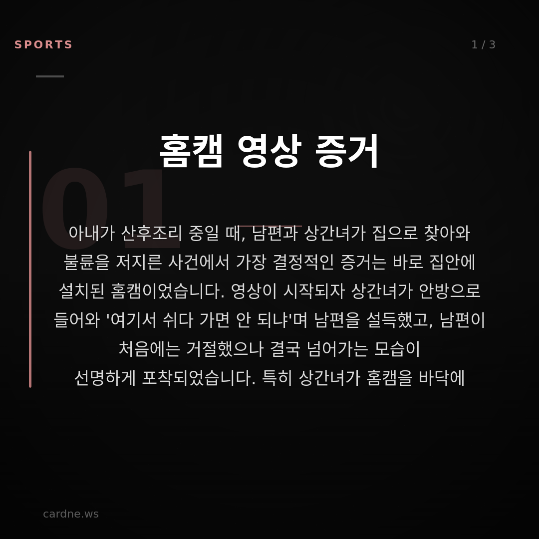 산후조리 중 불륜, 상간녀가 뒤집었다 — 슬라이드 2
