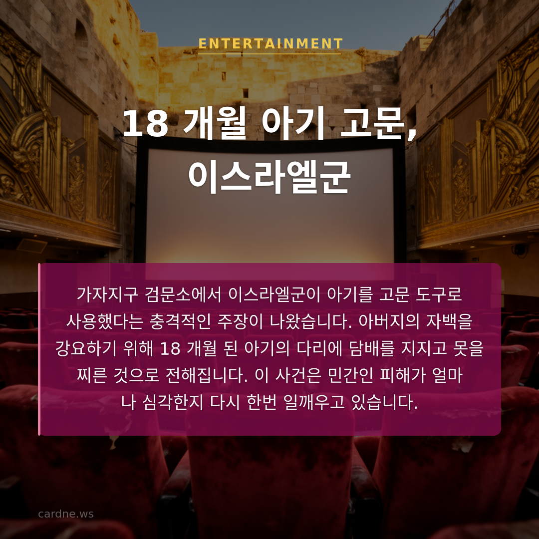 18 개월 아기 고문, 이스라엘군