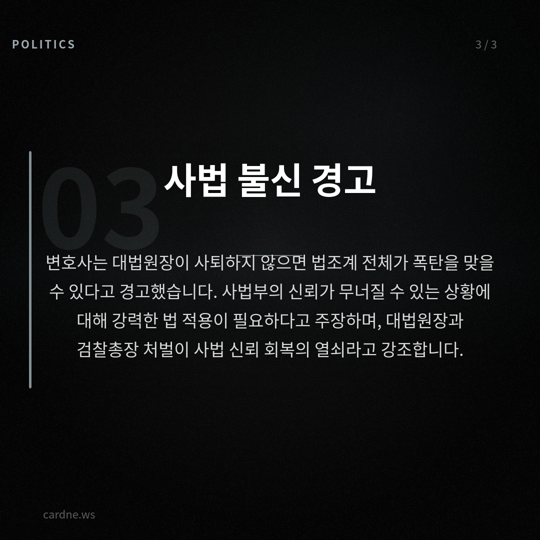 대법원장, 법왜곡죄로 고발 — 슬라이드 4